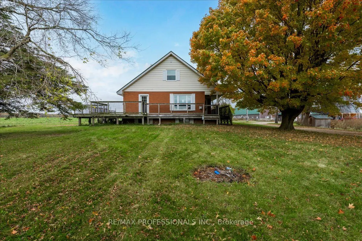 100 Tiny Flos Townline