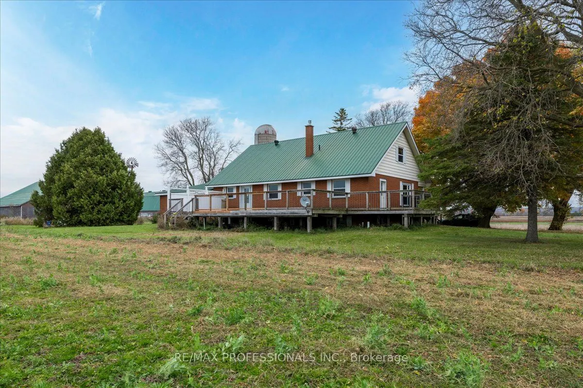 100 Tiny Flos Townline