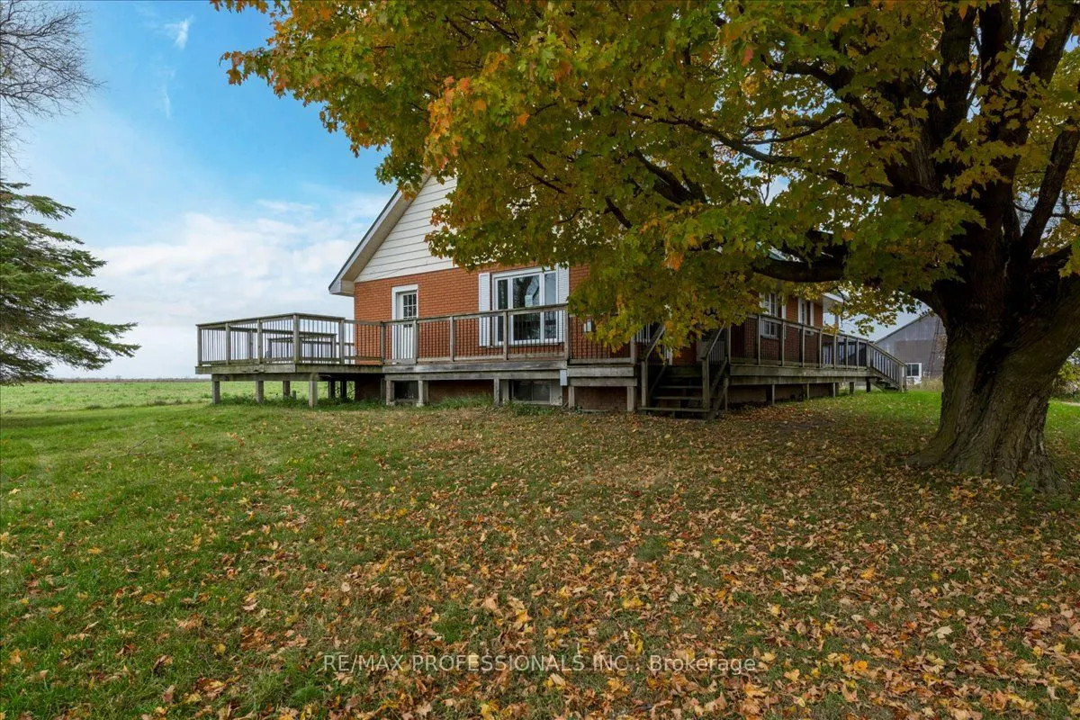 100 Tiny Flos Townline