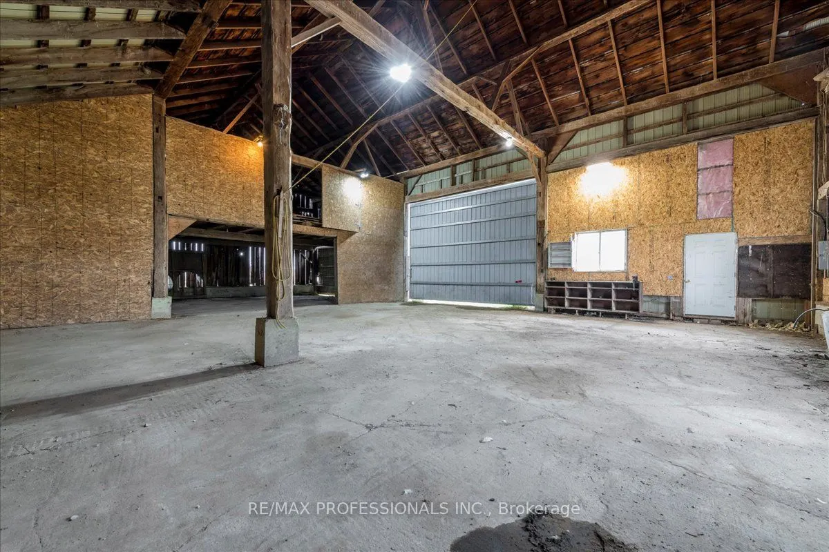 100 Tiny Flos Townline