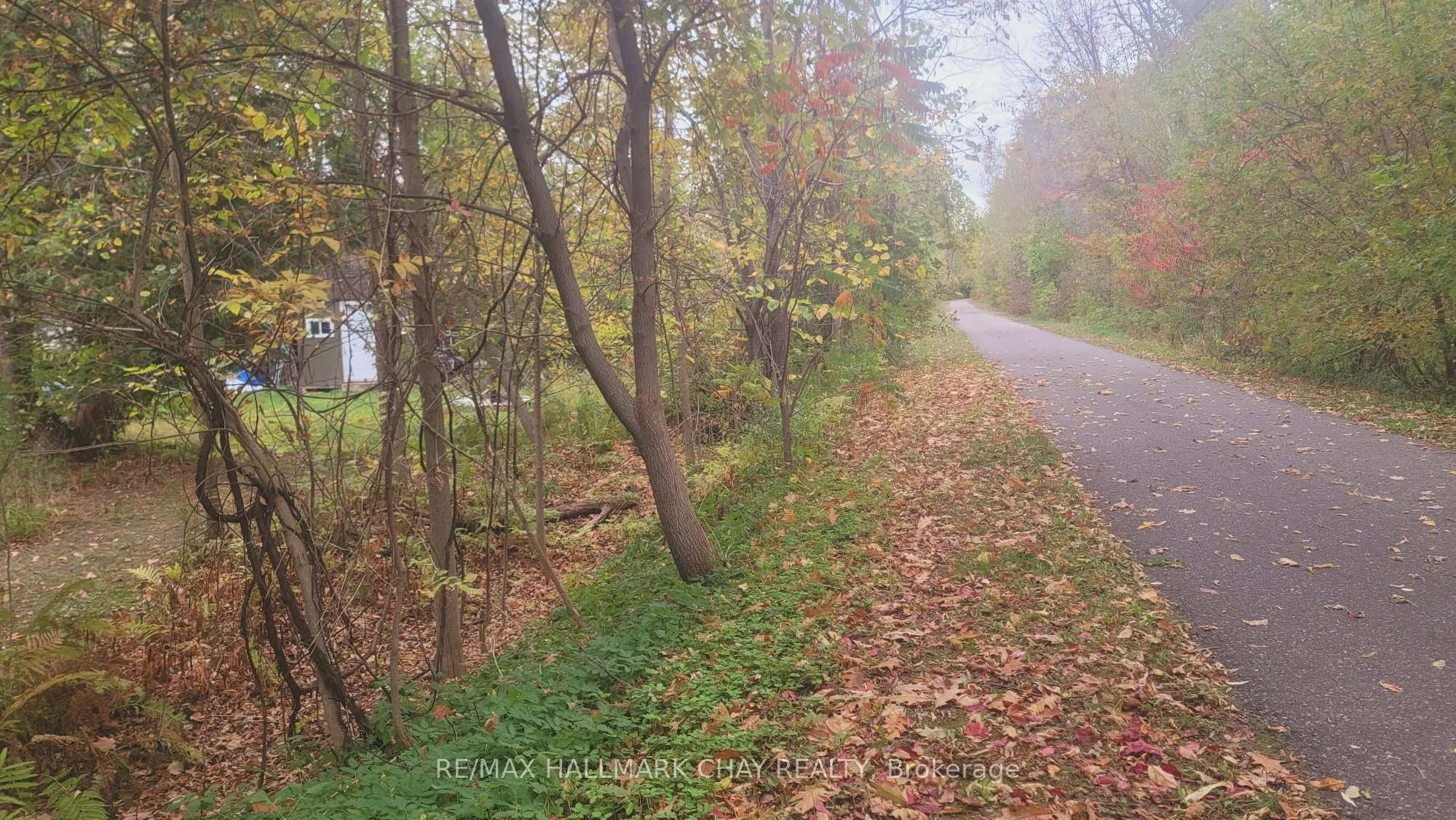 14189 12 Highway
