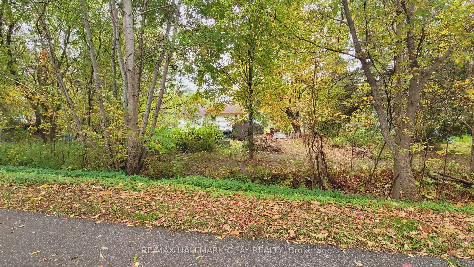 14189 12 Highway