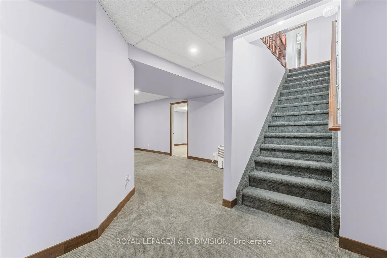 2925 Pinecone Trail