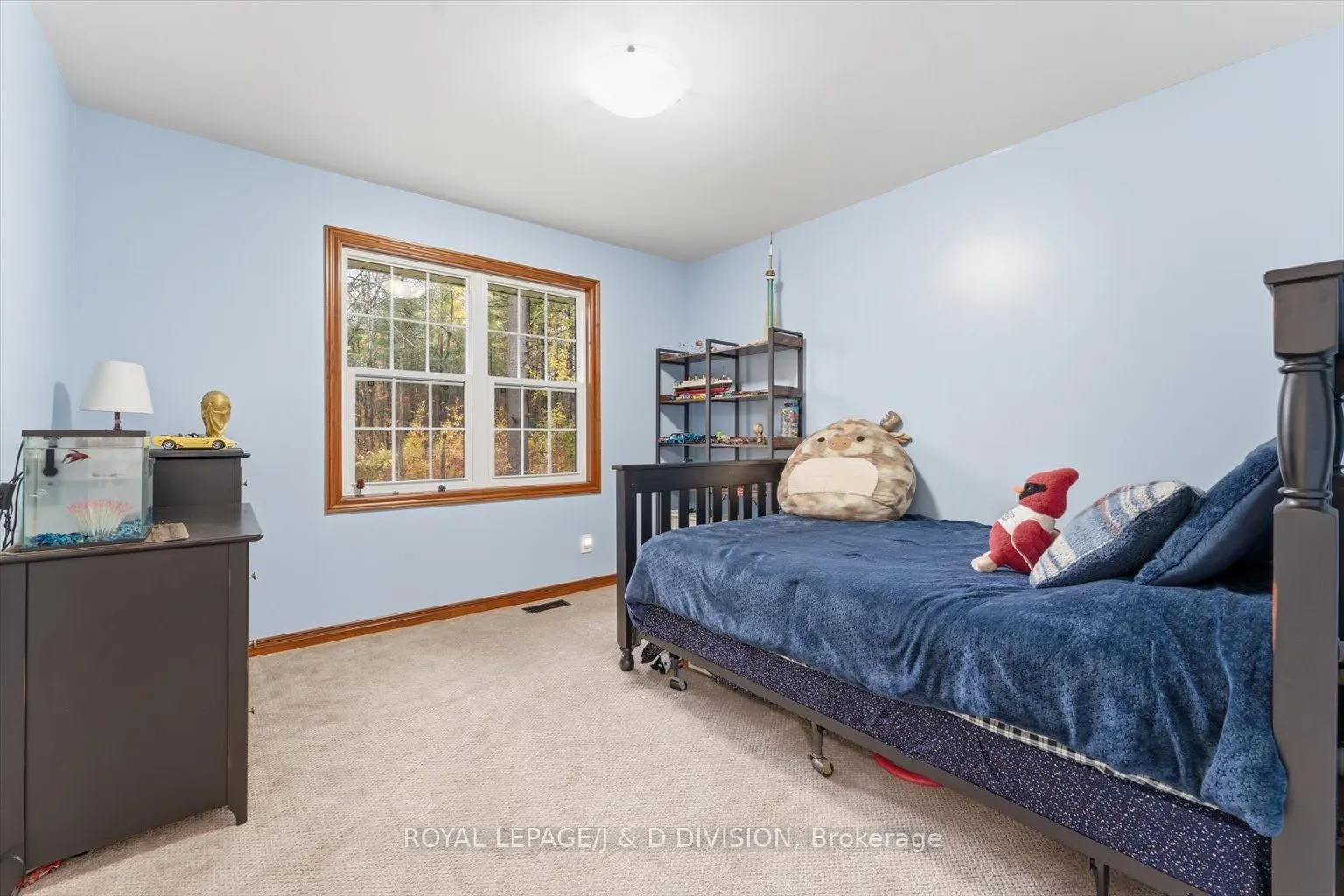 2925 Pinecone Trail