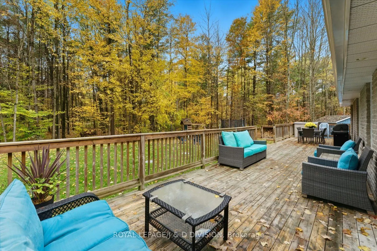 2925 Pinecone Trail