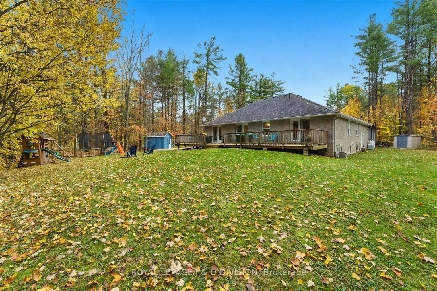 2925 Pinecone Trail