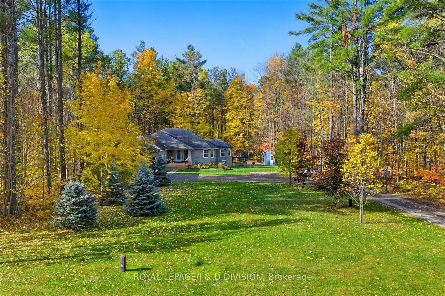 2925 Pinecone Trail