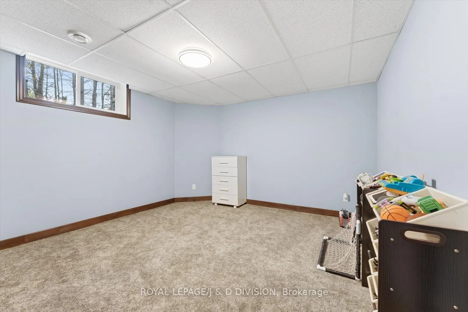 2925 Pinecone Trail