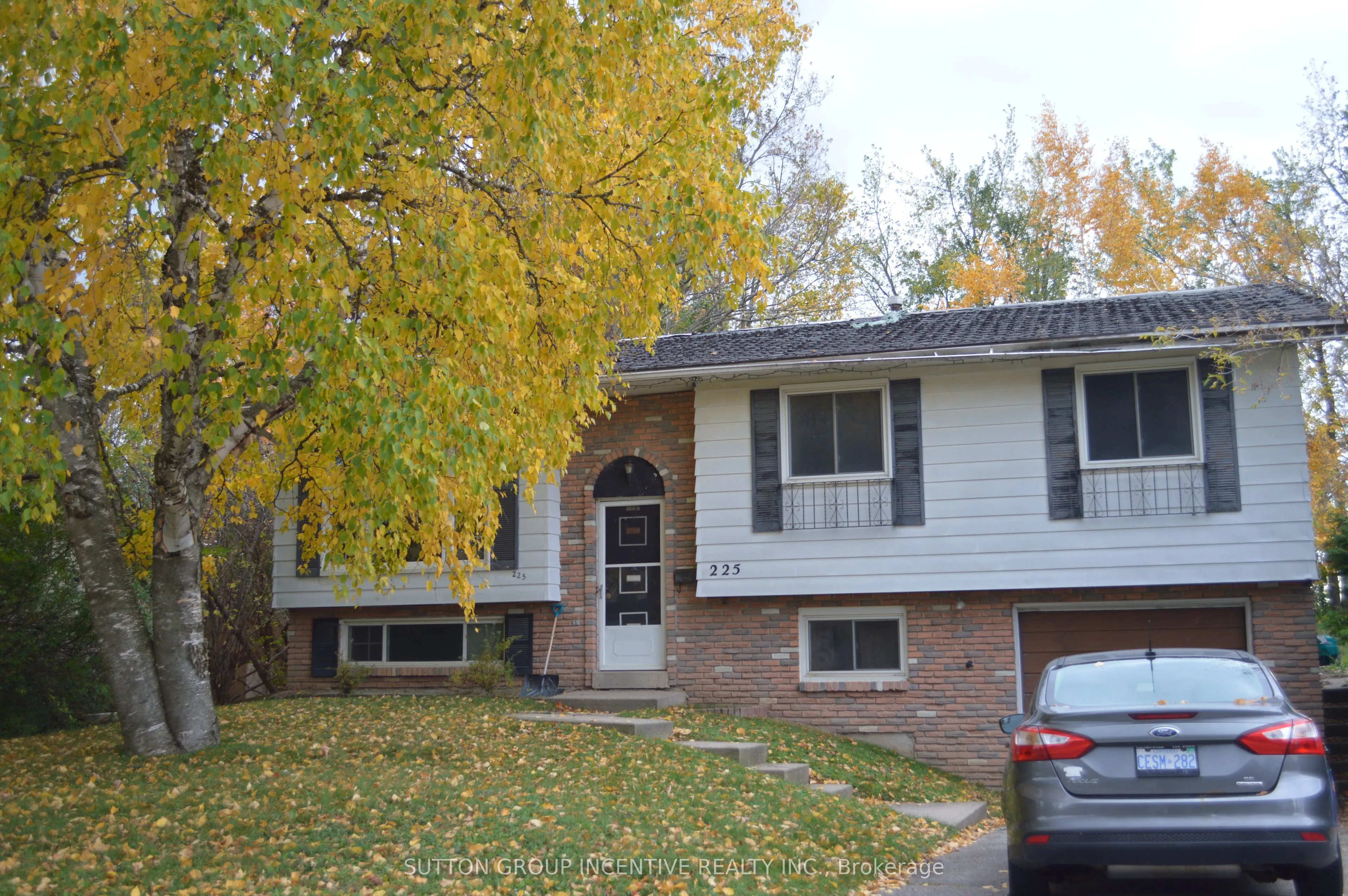 225 Pine Drive