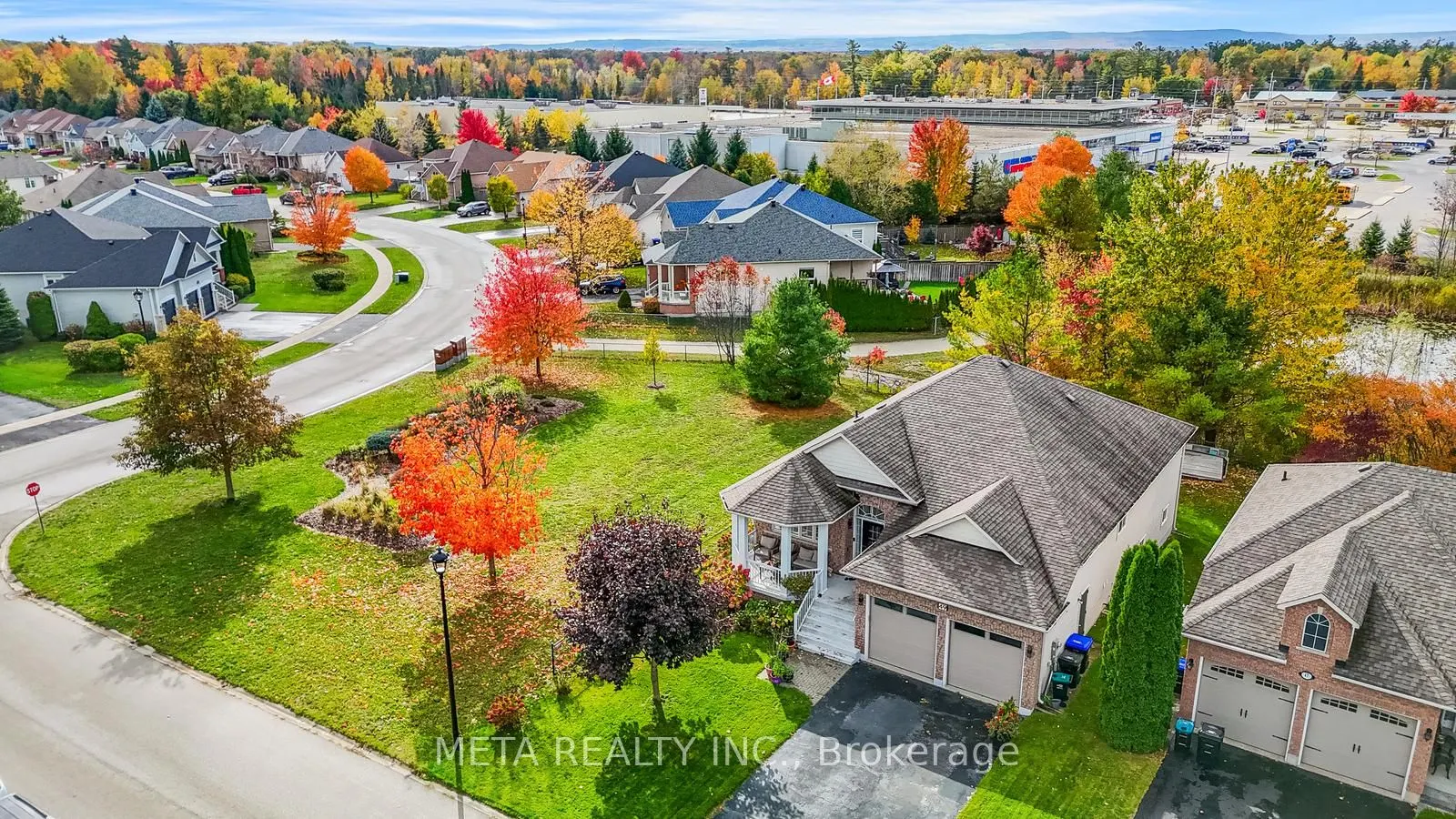 49 RED Pine