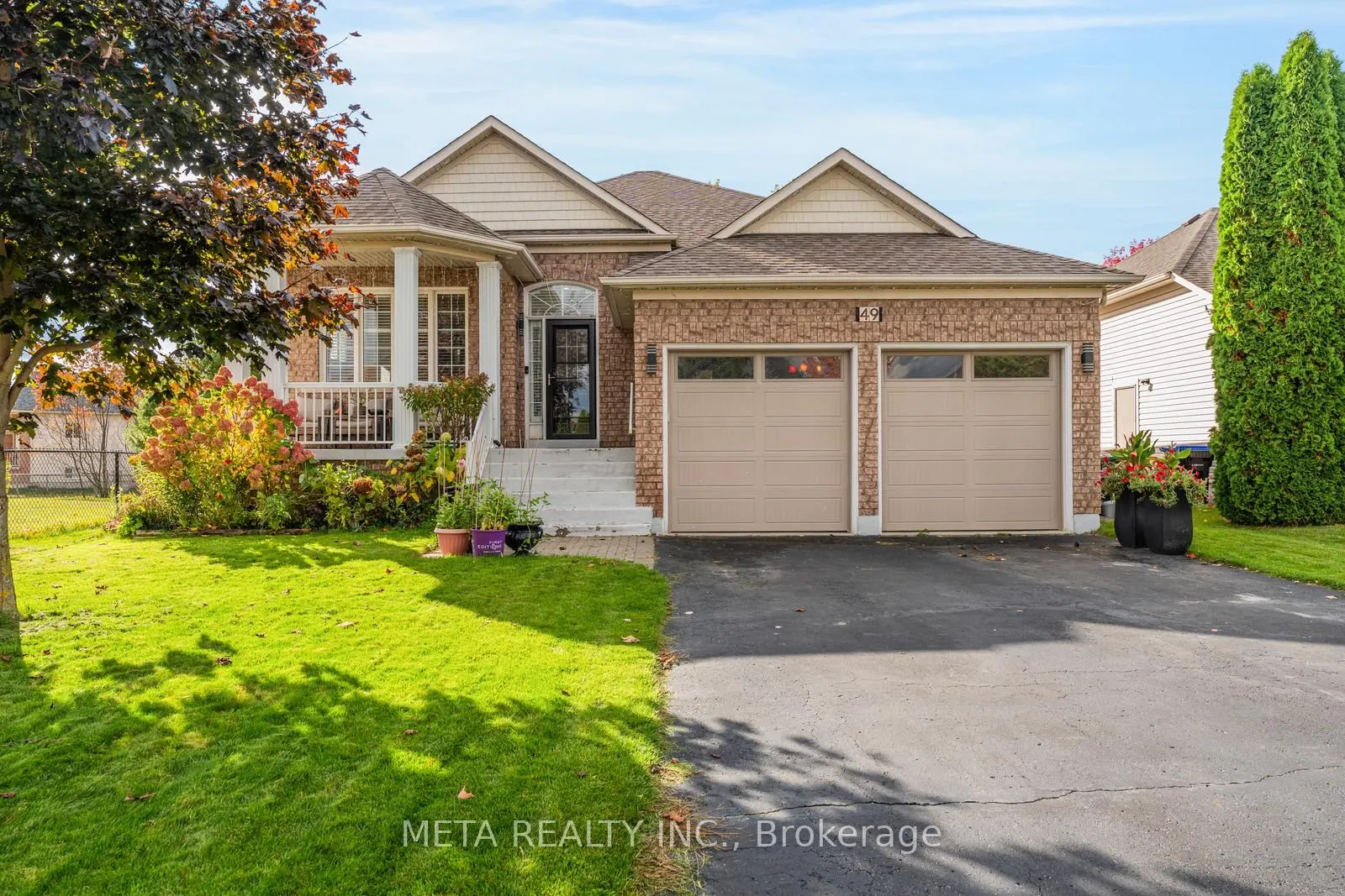 49 RED Pine
