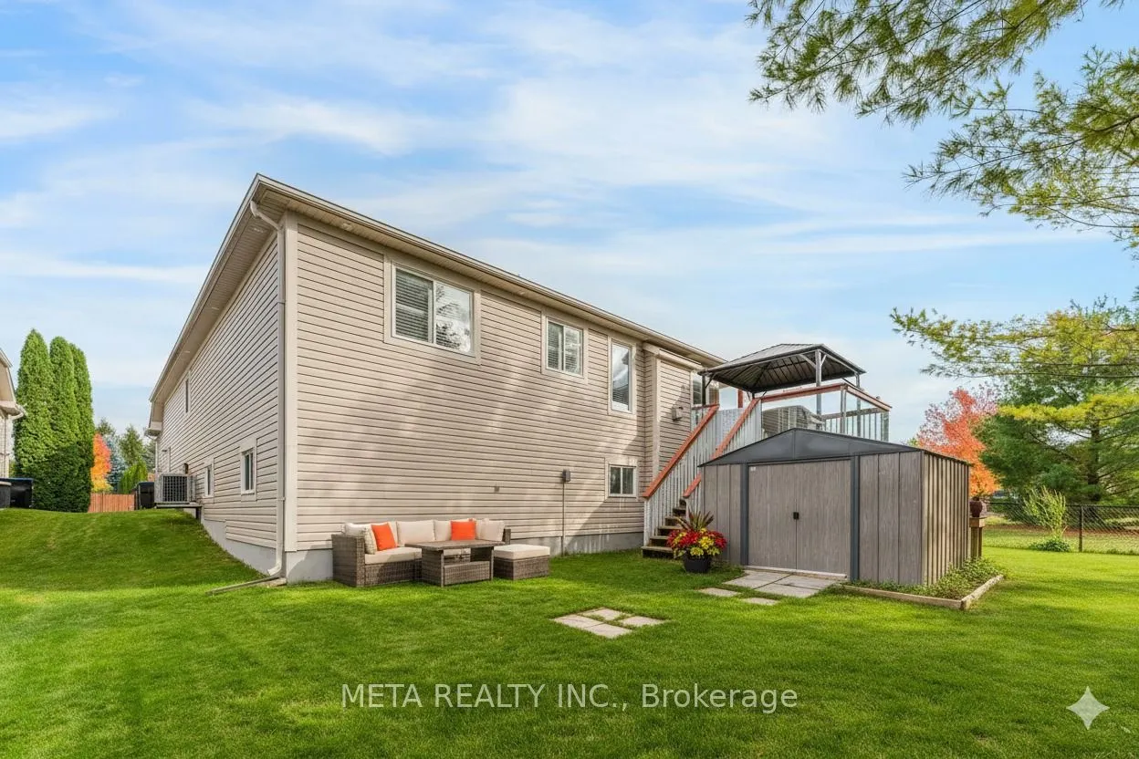 49 RED Pine