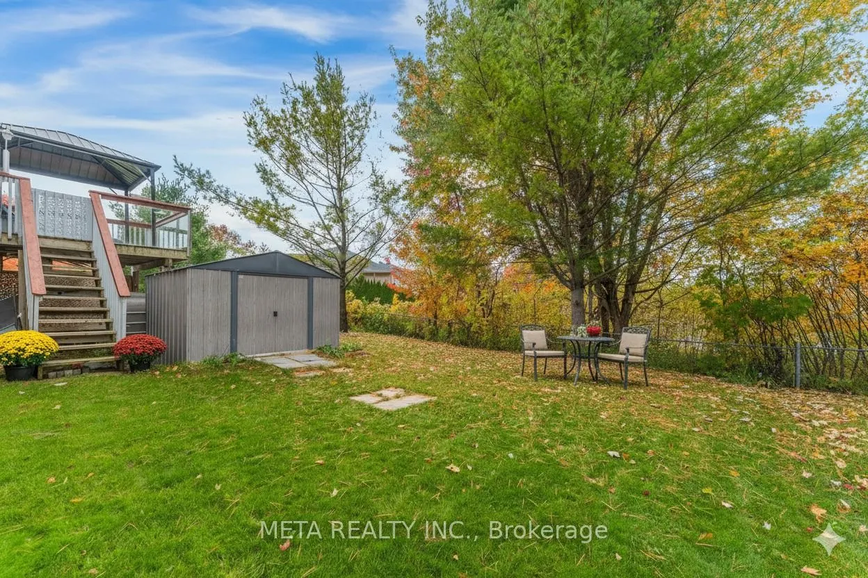 49 RED Pine