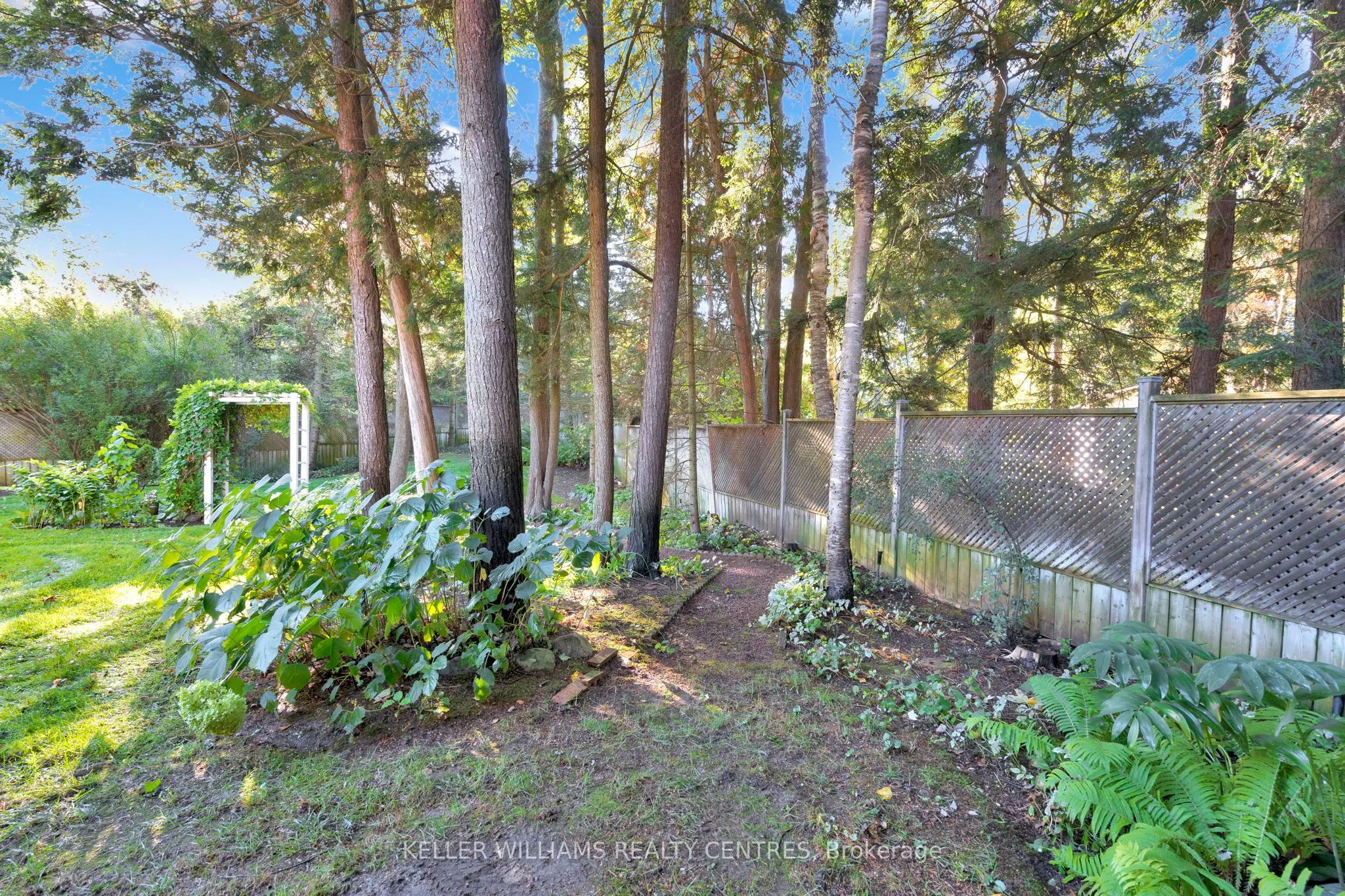 11 Birchmount Circle