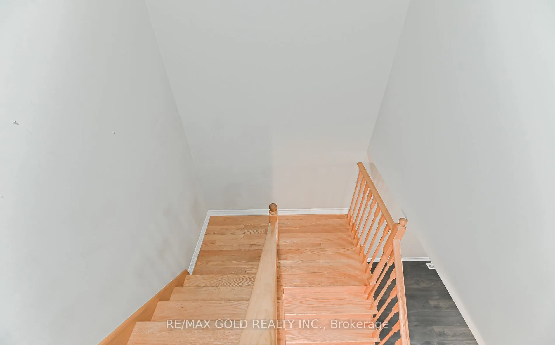 72 Brown Bear Street