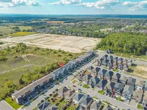 72 Brown Bear Street