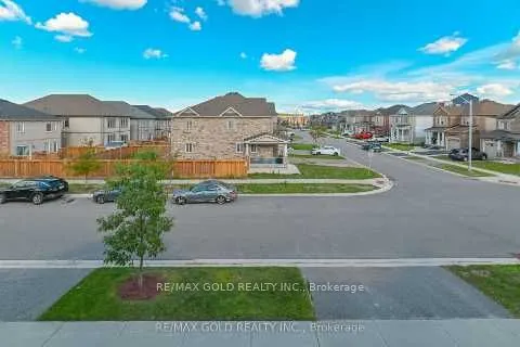 72 Brown Bear Street