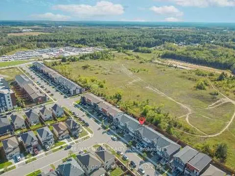 72 Brown Bear Street