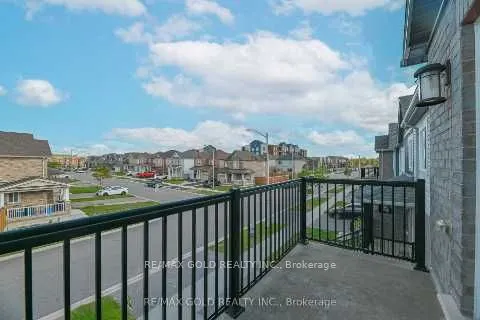 72 Brown Bear Street