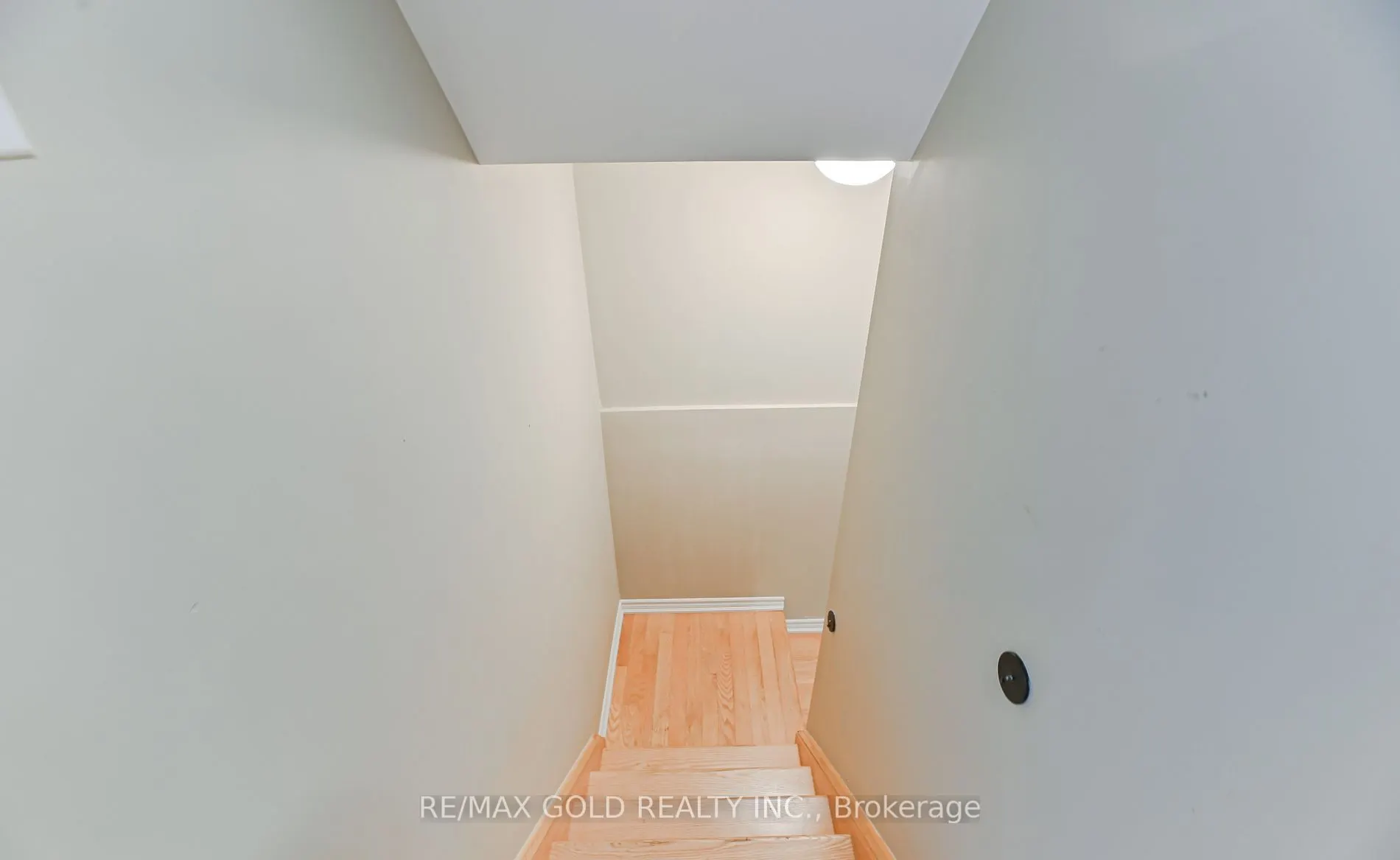 72 Brown Bear Street