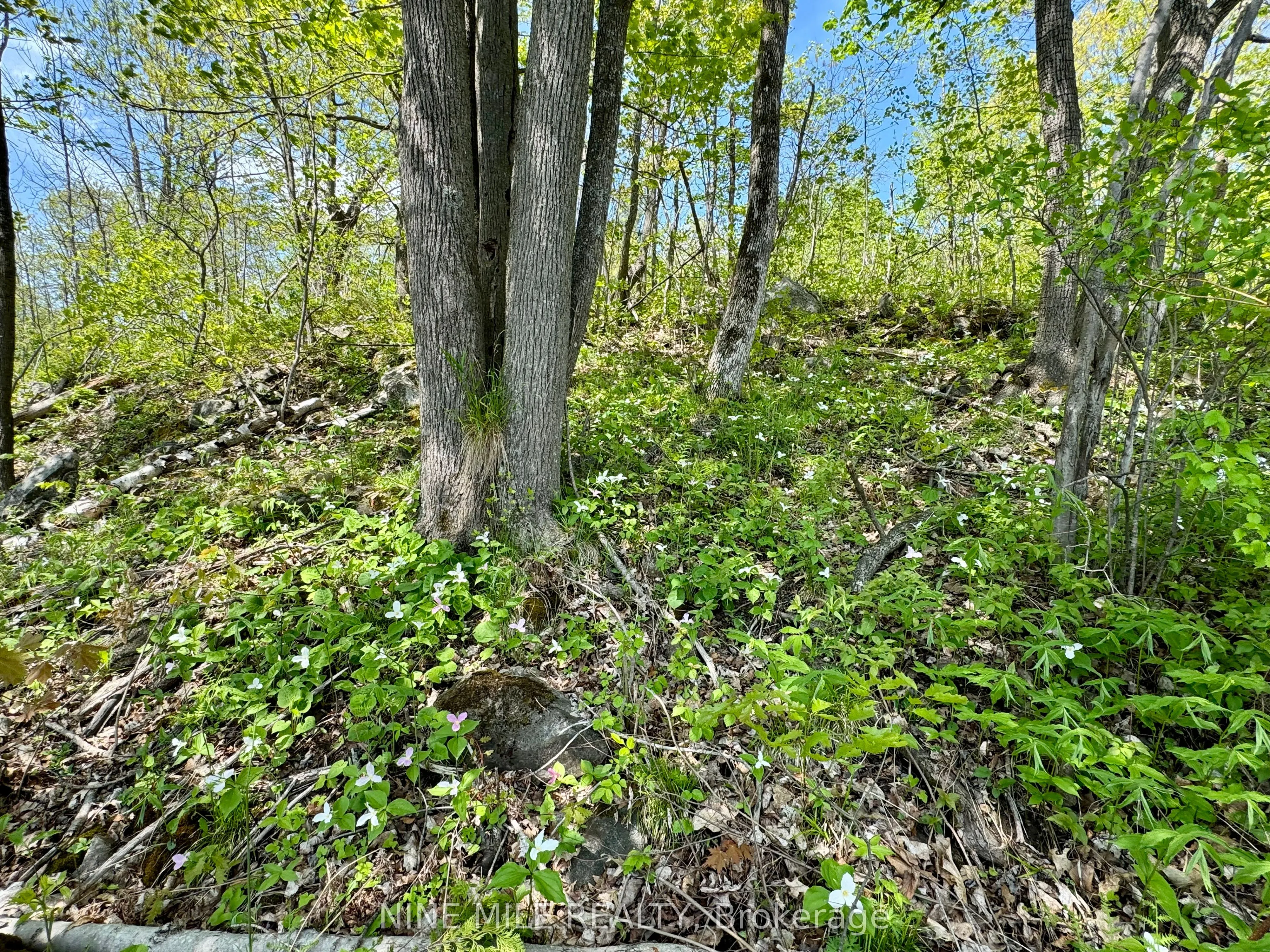 2699 Coopers Falls Road