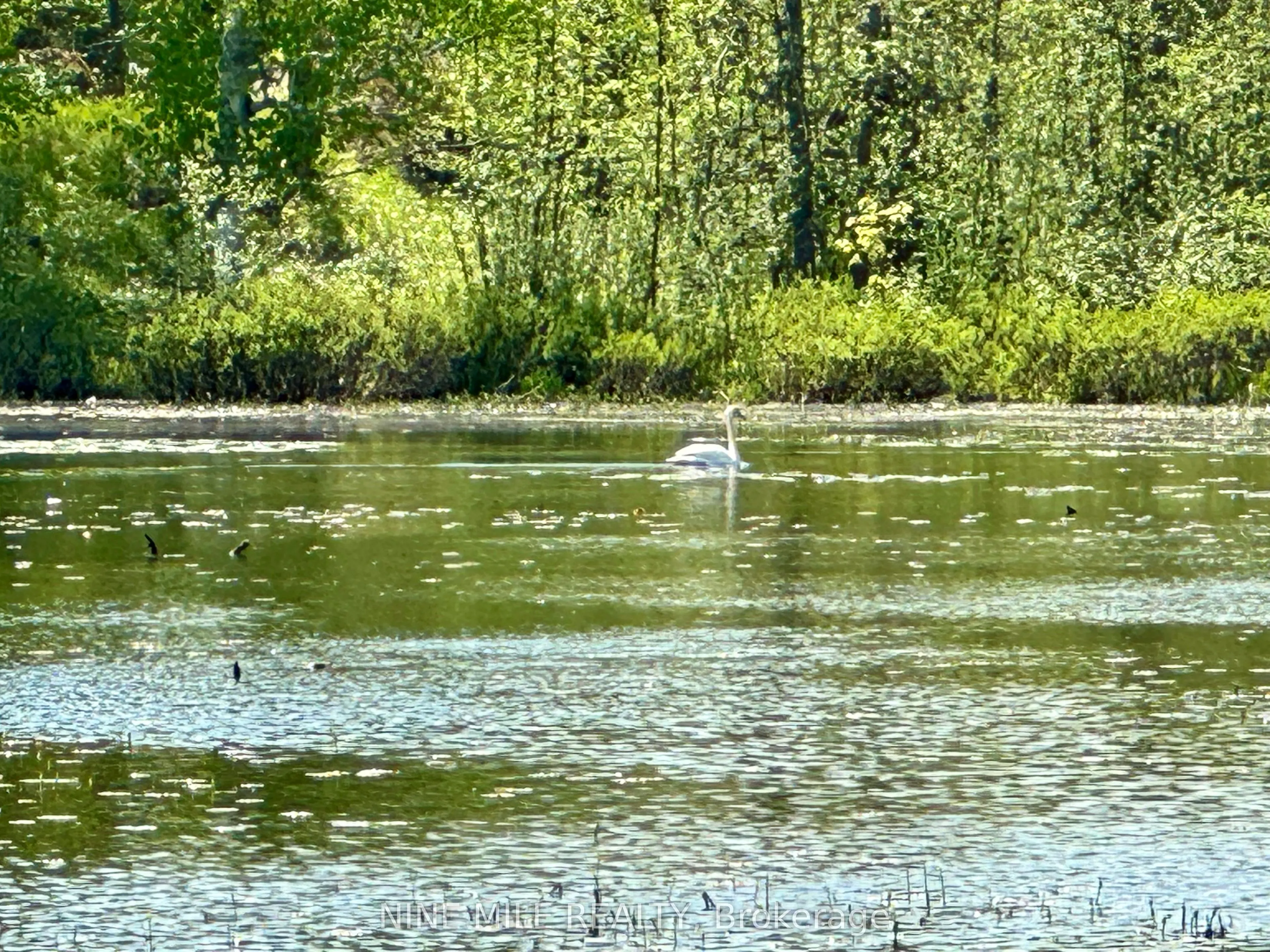 2699 Coopers Falls Road