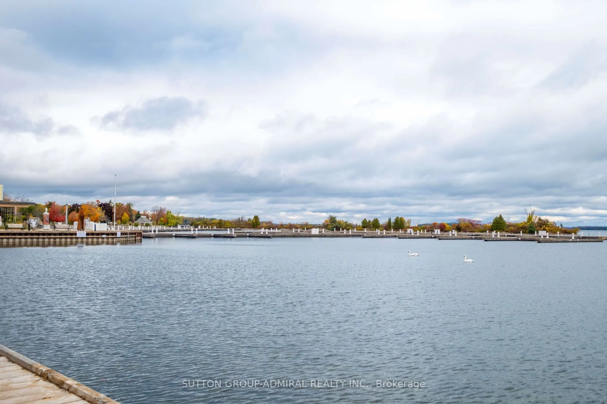 21 MATCHEDASH Street, #305