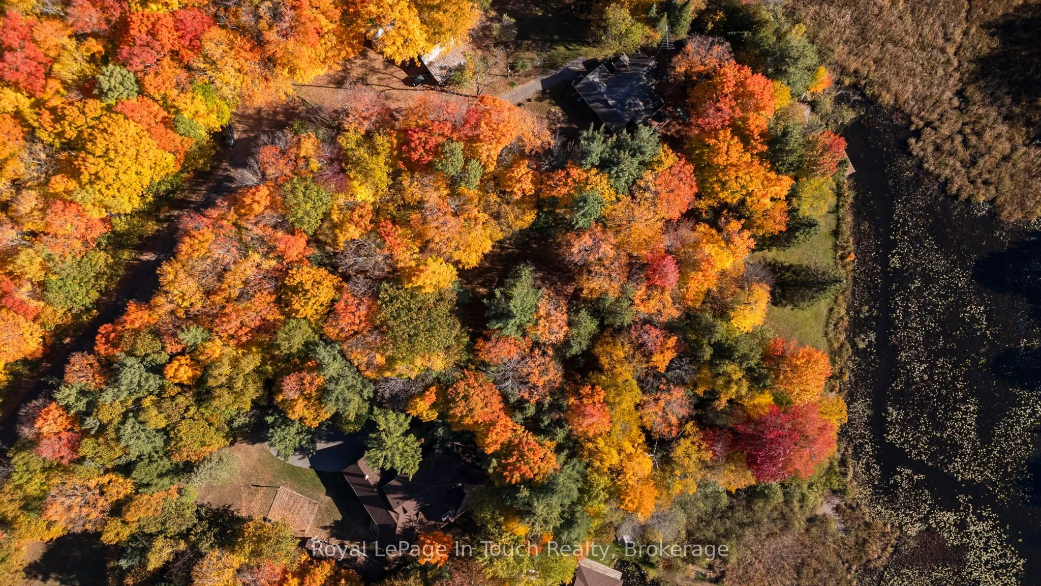 1980 South Riverside Drive