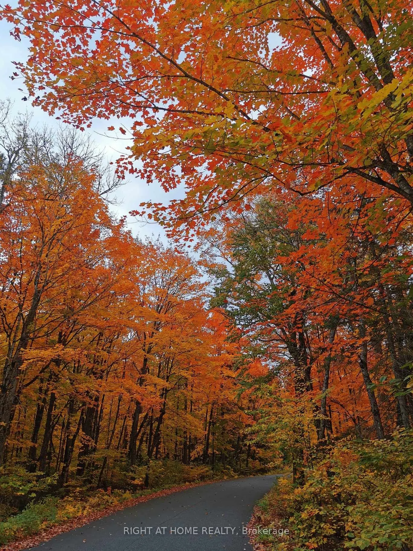 84 Diamond Valley Drive