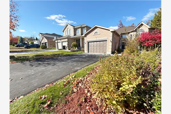 18 Forest Dale Drive