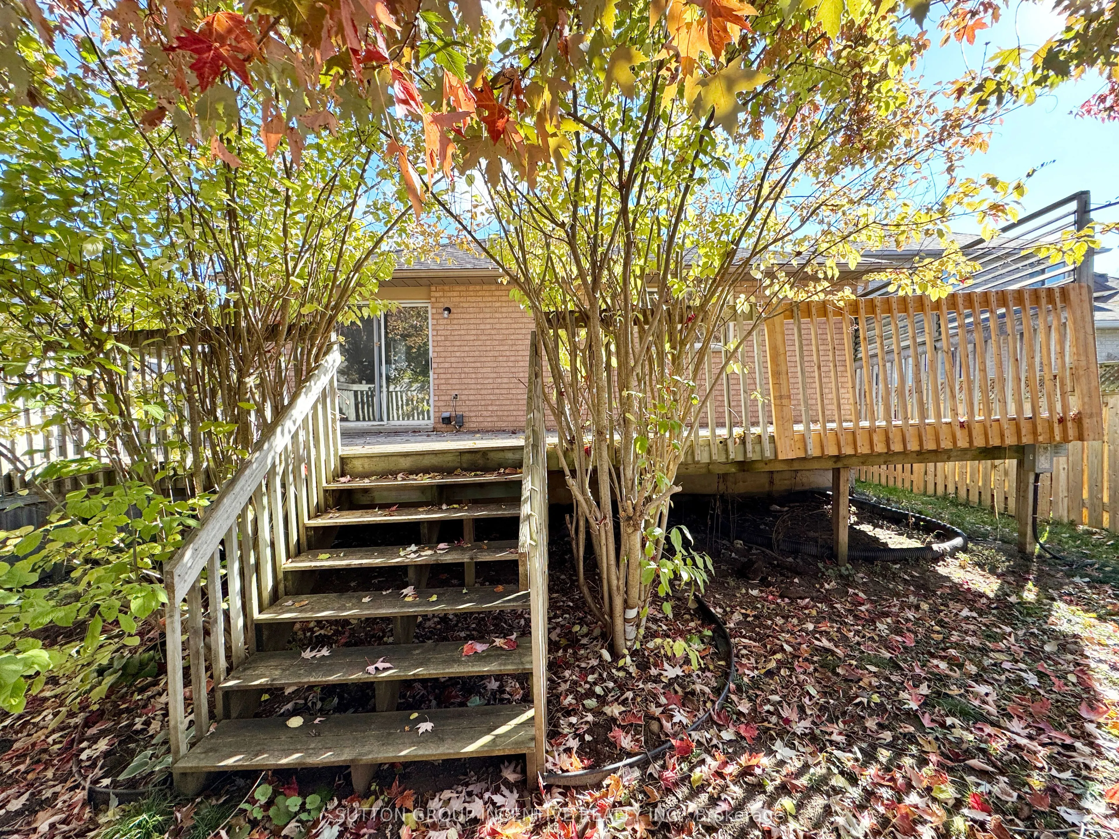 18 Forest Dale Drive