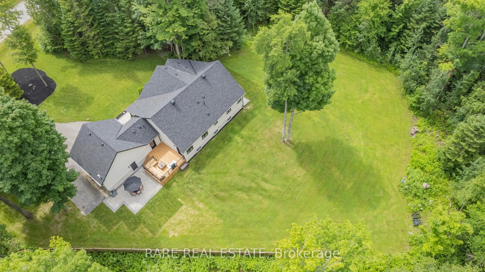 4 BRONZE BIRD Crescent