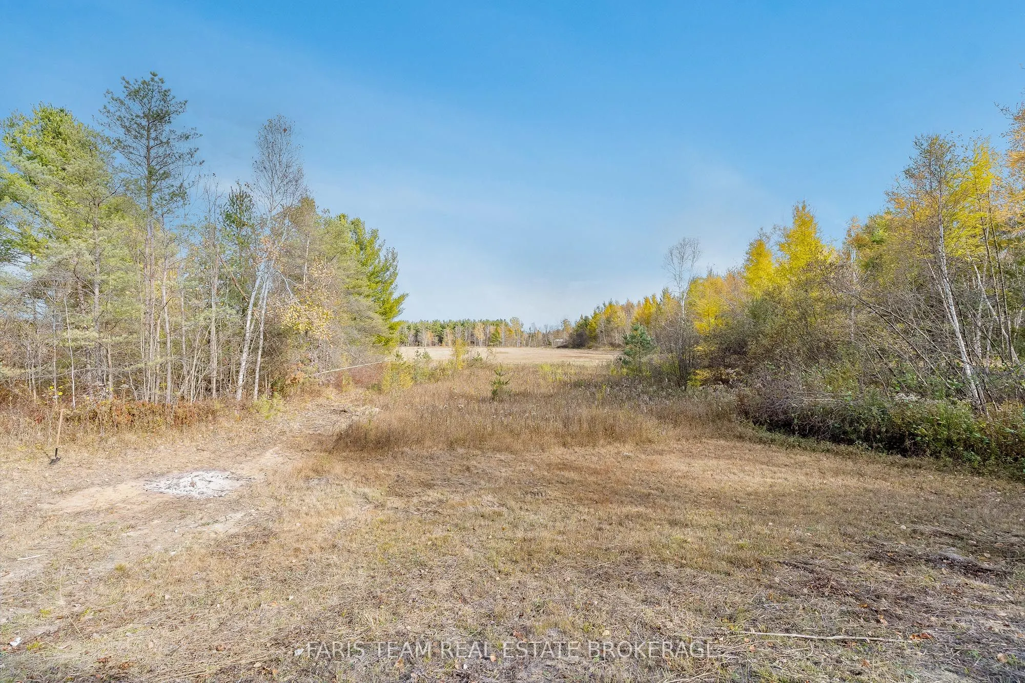 7589 Cronk Side Road