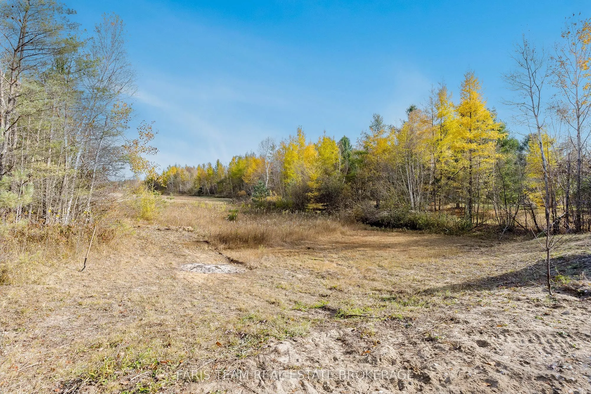 7589 Cronk Side Road