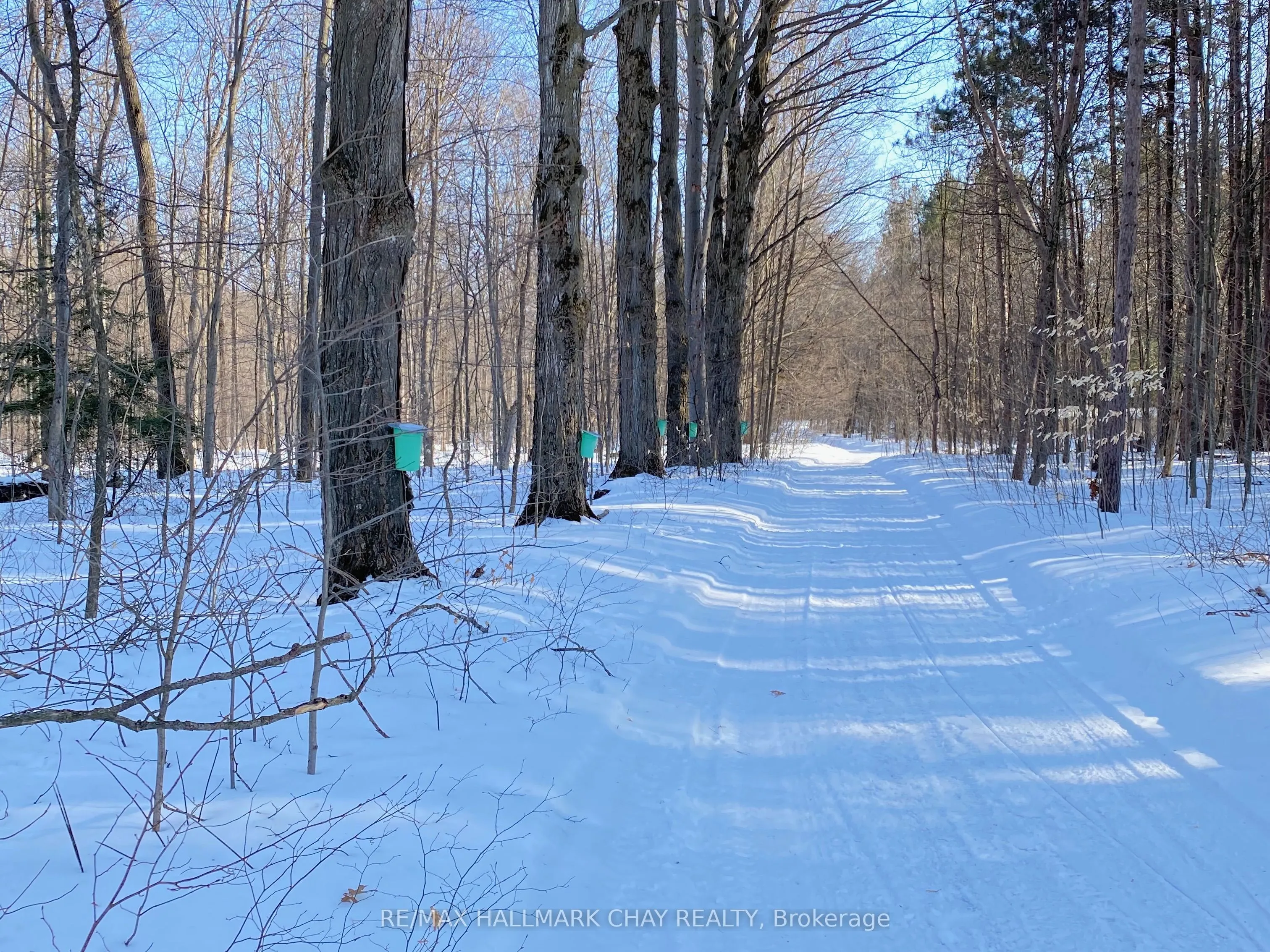 1256 Rainbow Valley Road W