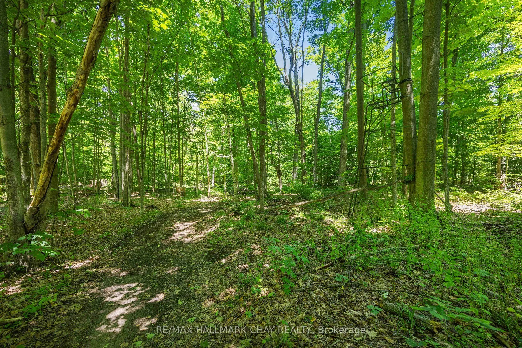 1256 Rainbow Valley Road W