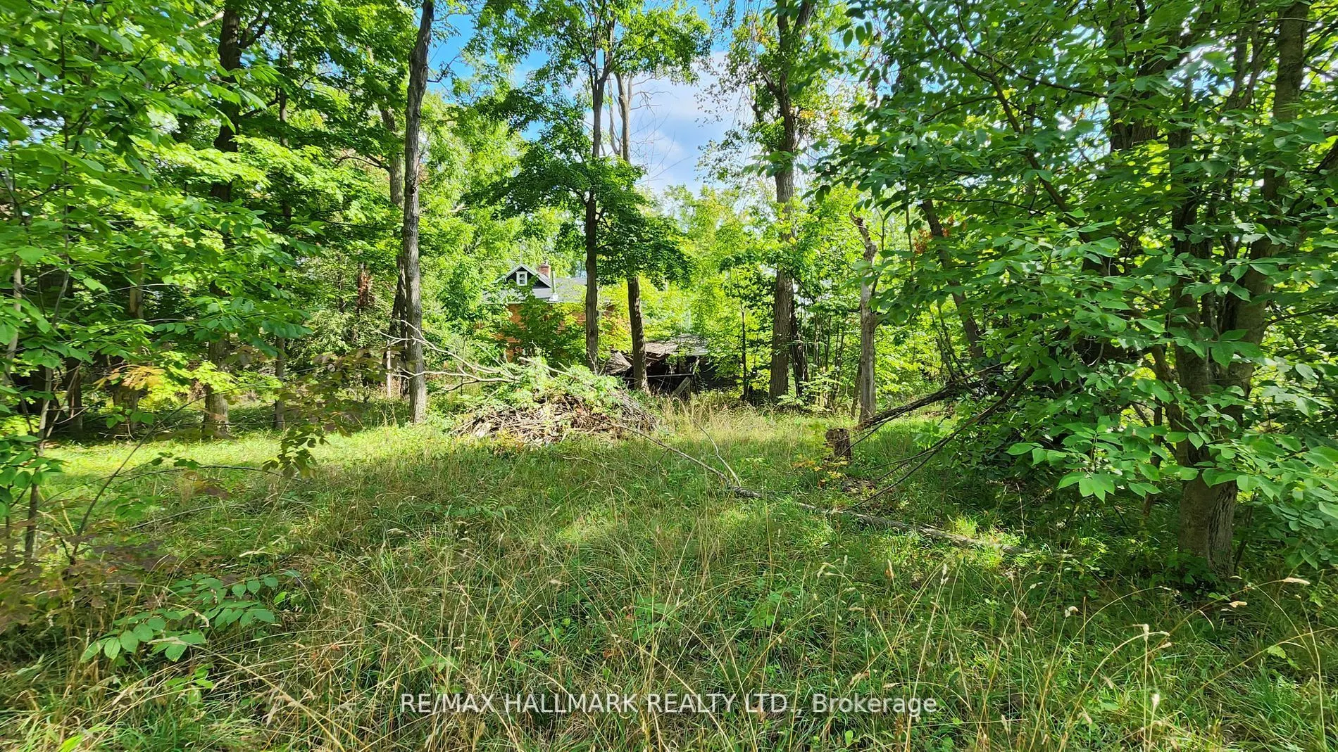26 Lakeshore Road W