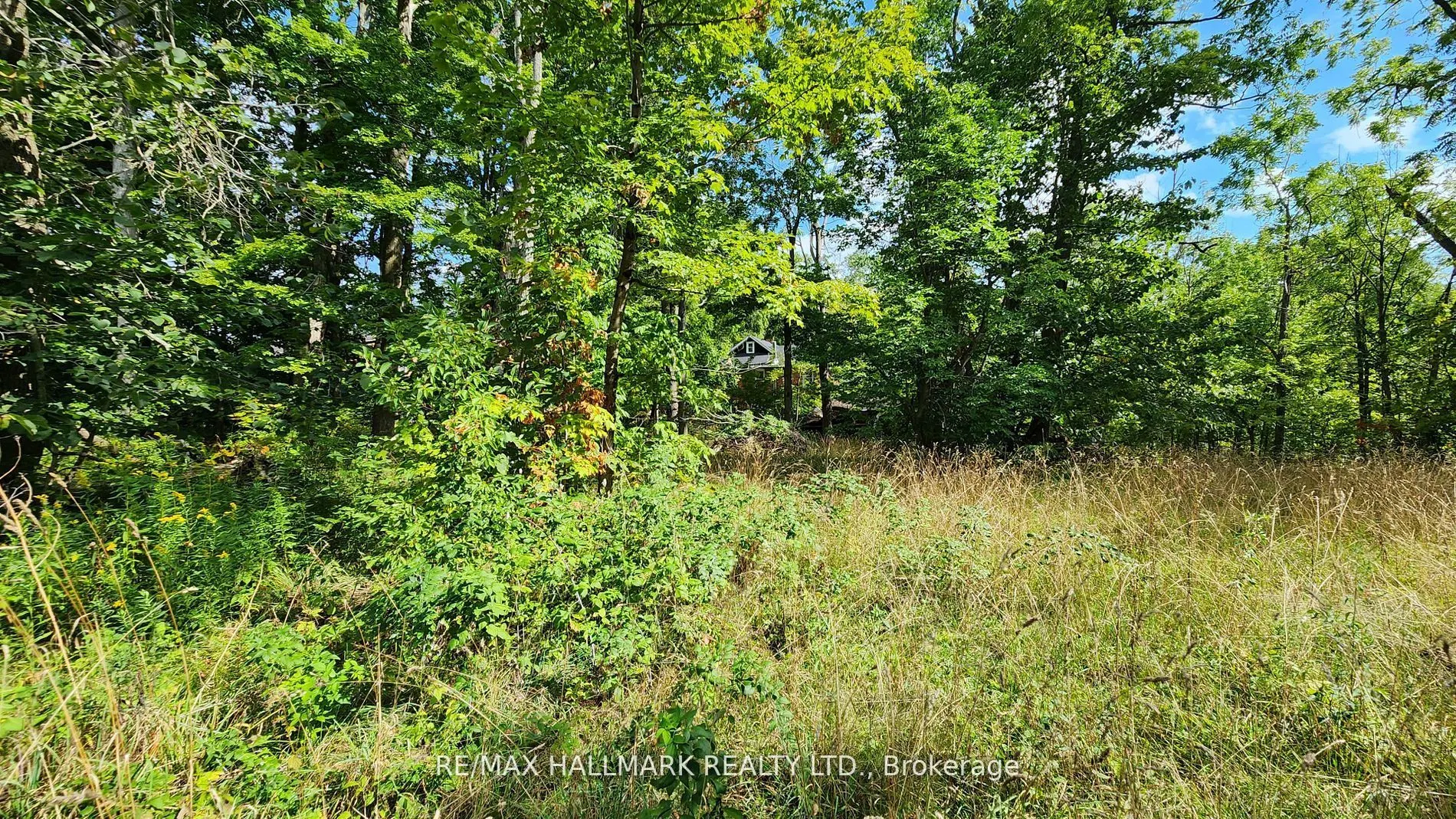 26 Lakeshore Road W