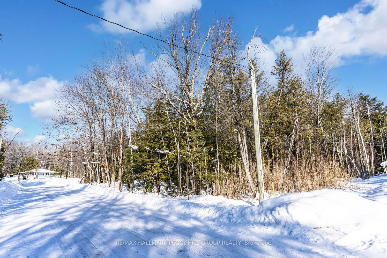 38 Lasalle Trail
