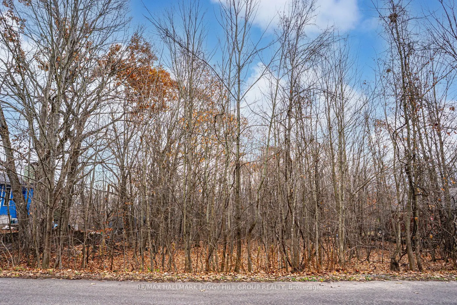 17 Valleyview Drive