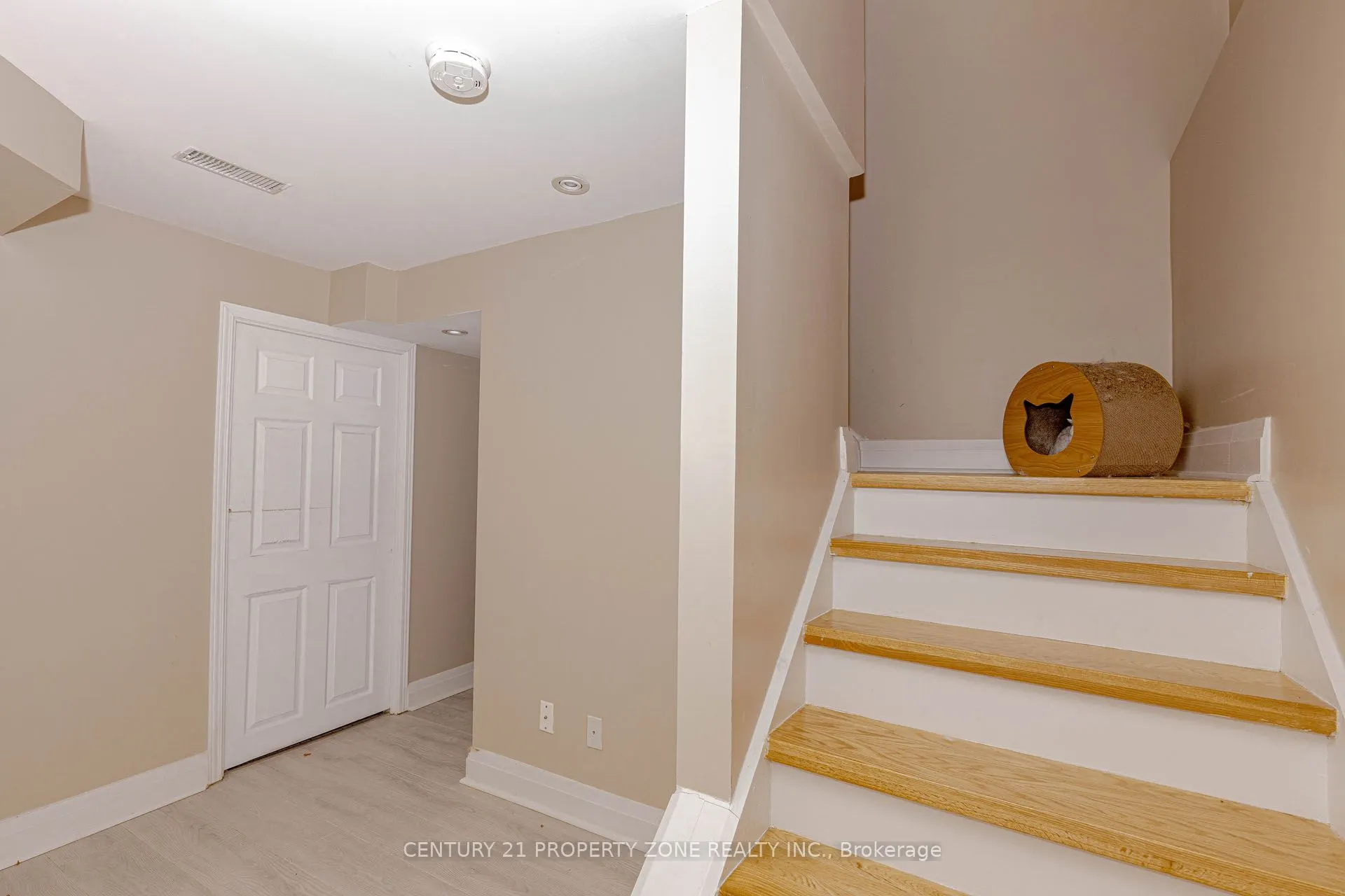 13 White Elm Road