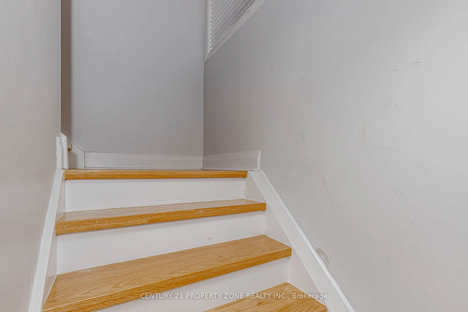 13 White Elm Road