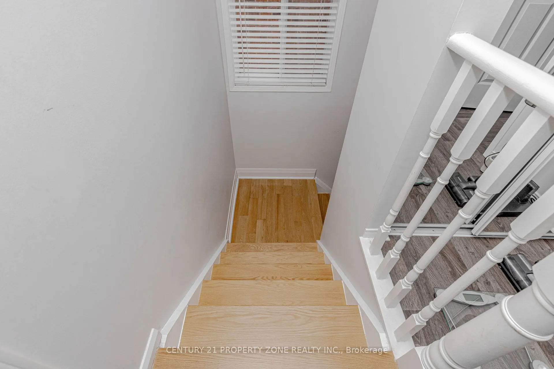13 White Elm Road