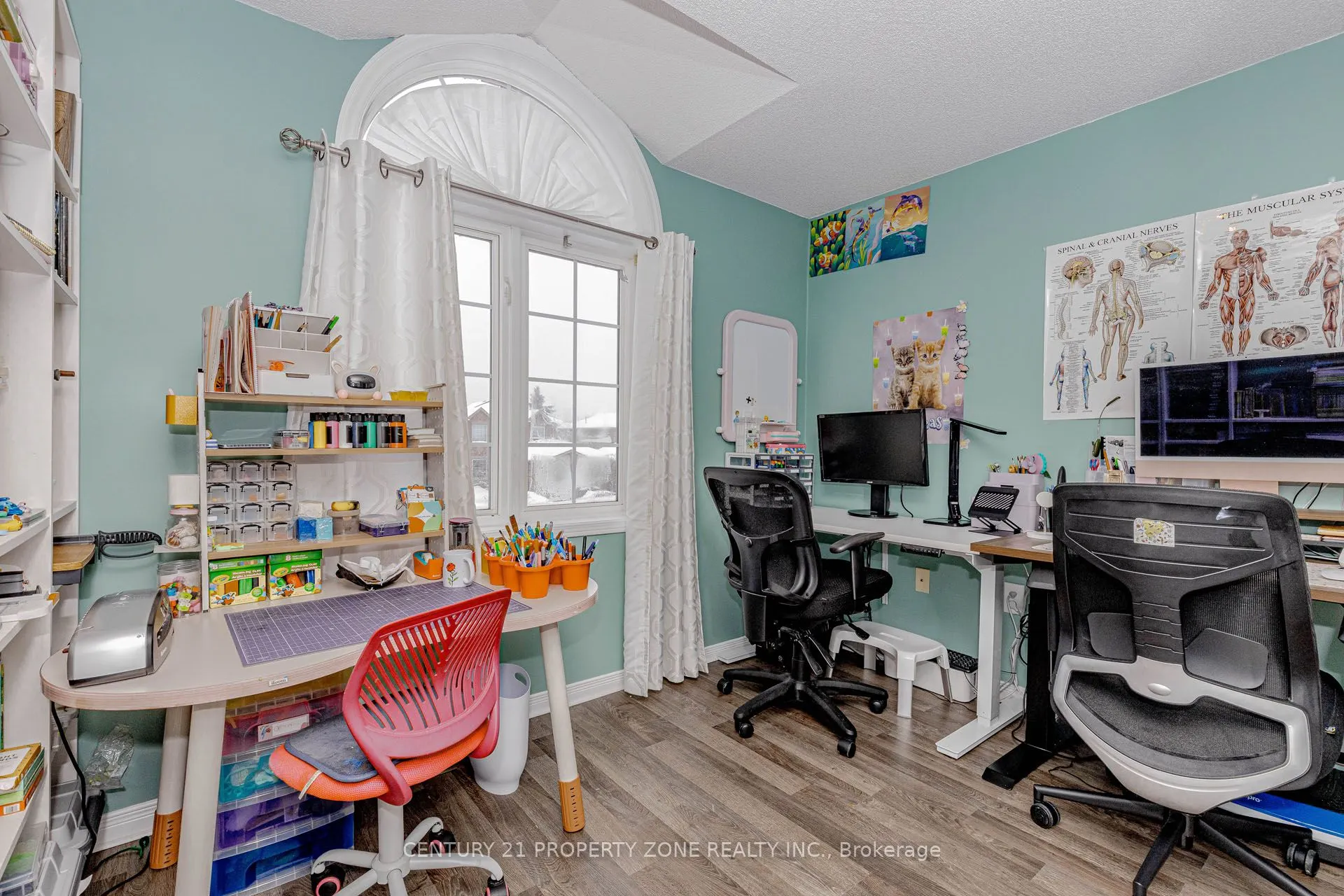 13 White Elm Road