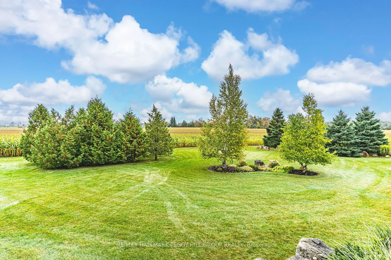 2265 Concession 11 Nottawasaga S