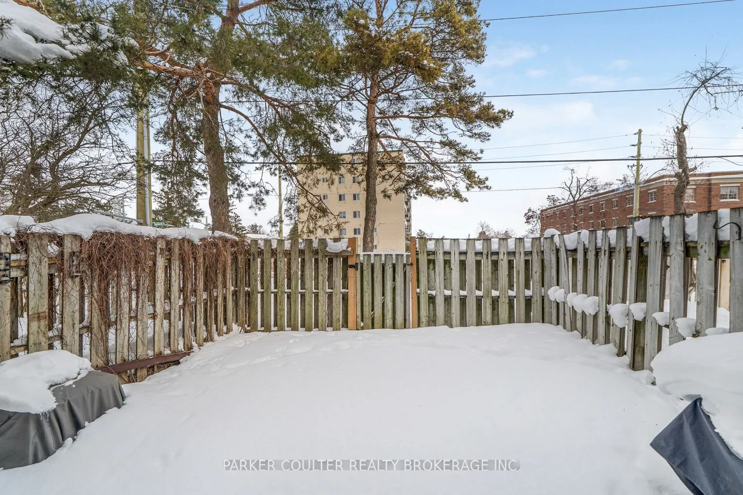 261 Rose Street #4