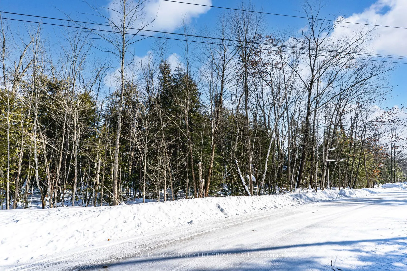 38 Lasalle Trail