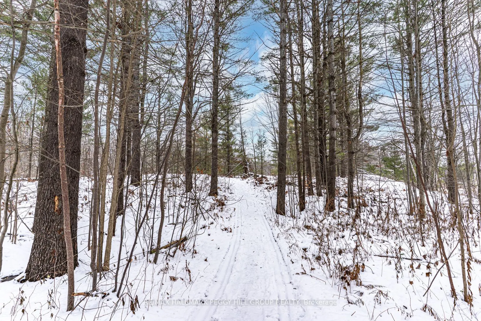 2504 Fairgrounds Road