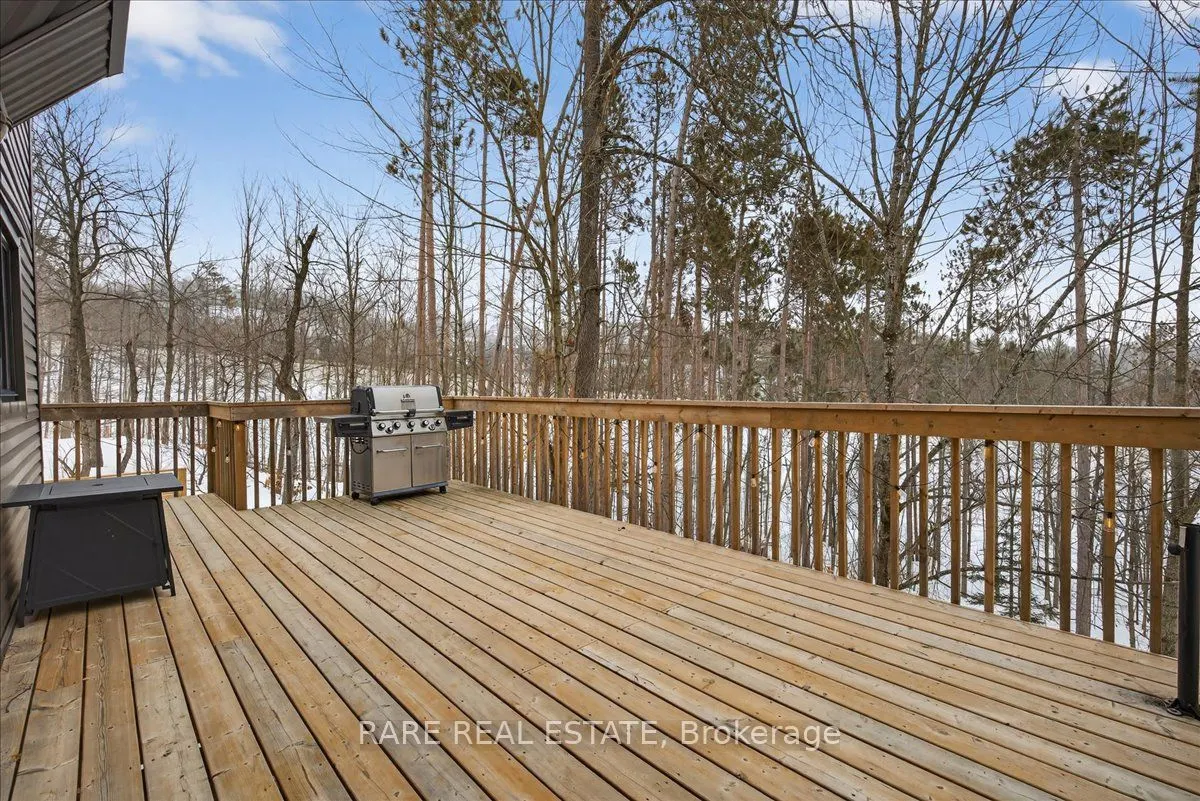 7 Pine Spring