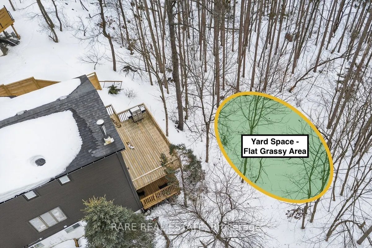 7 Pine Spring